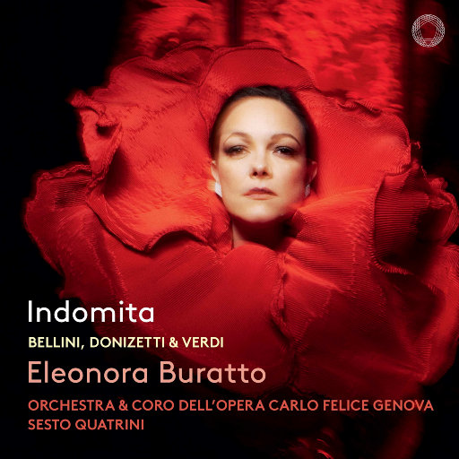 丰满老熟妇BBBBB搡BBB
